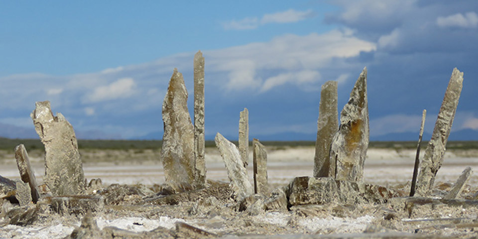 Gypsum Crystals at White Sands