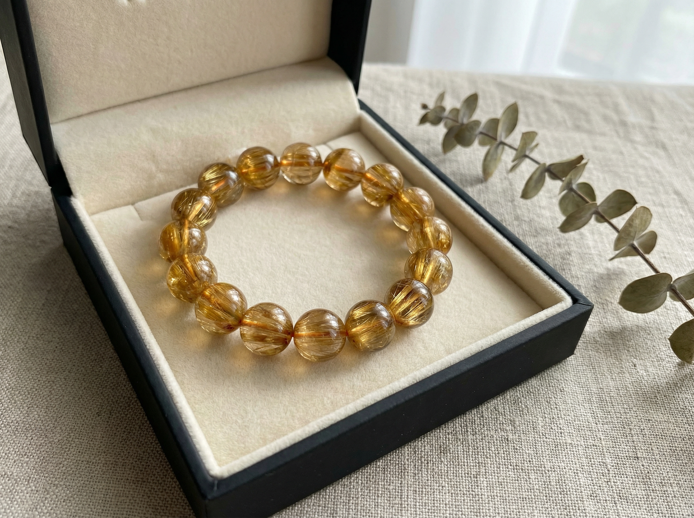 Visual 04 — The Gift of Provenance