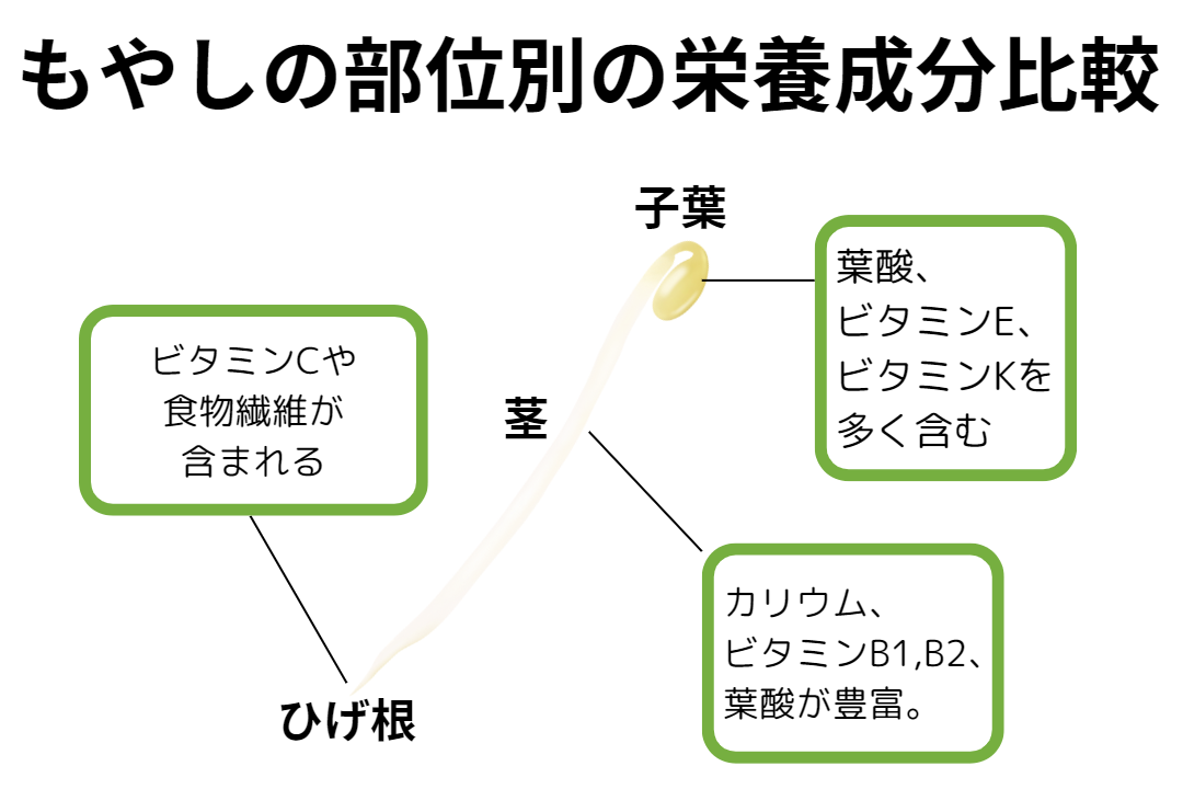 もやし 栄養