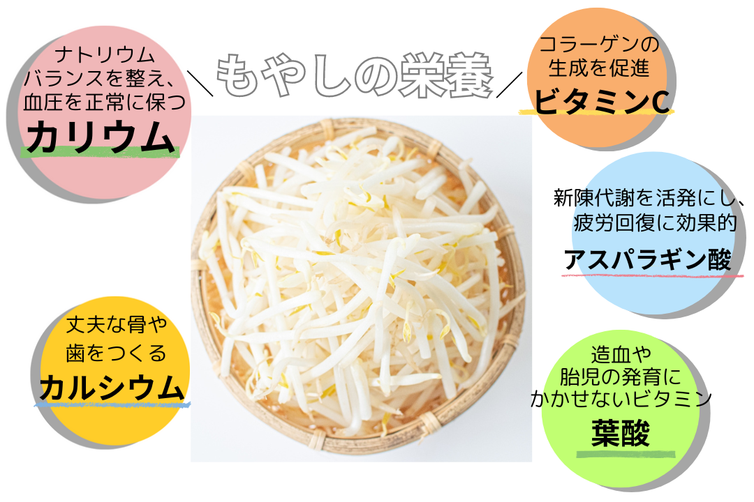 もやしのナムル