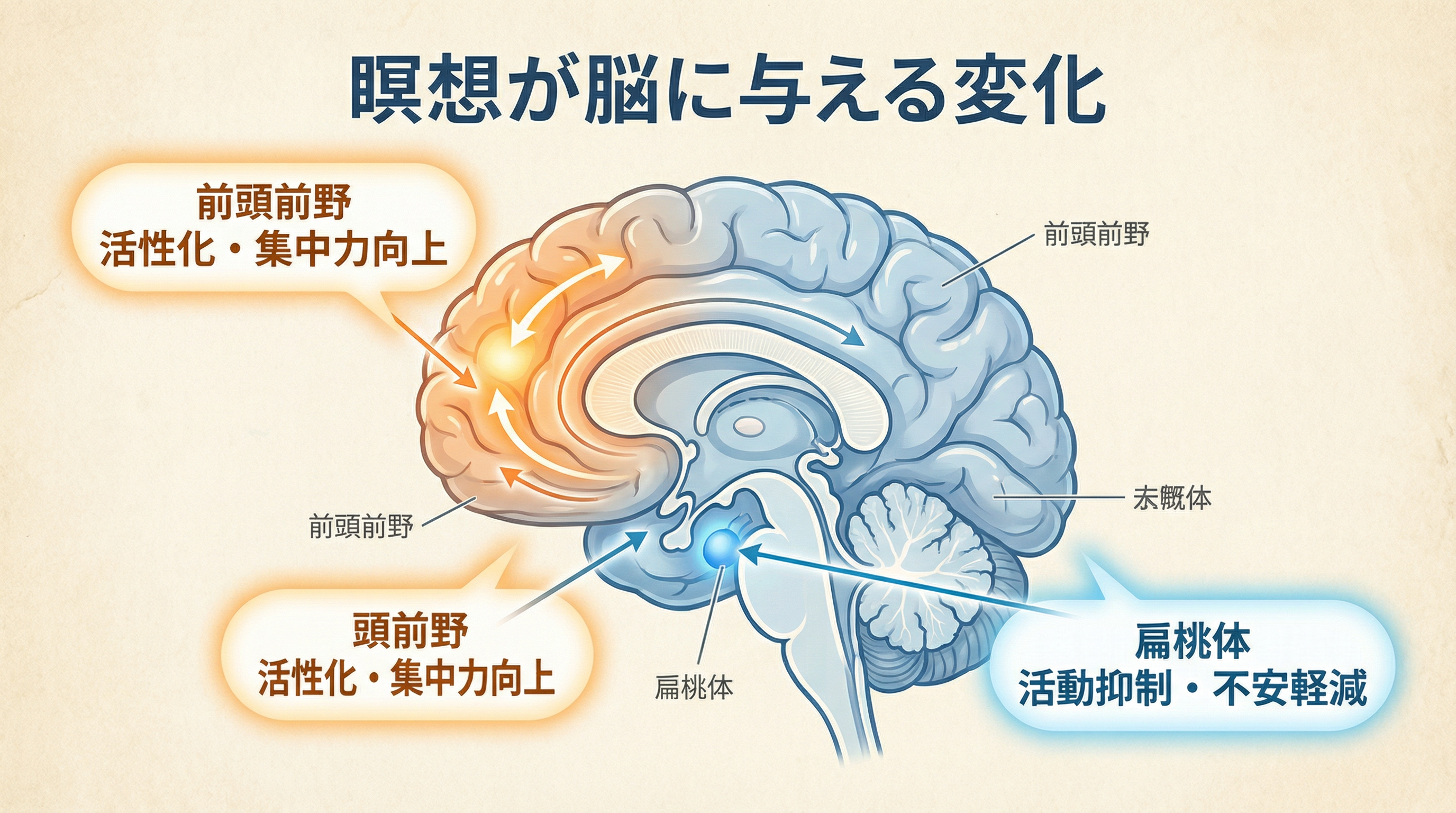 瞑想が脳に与える変化