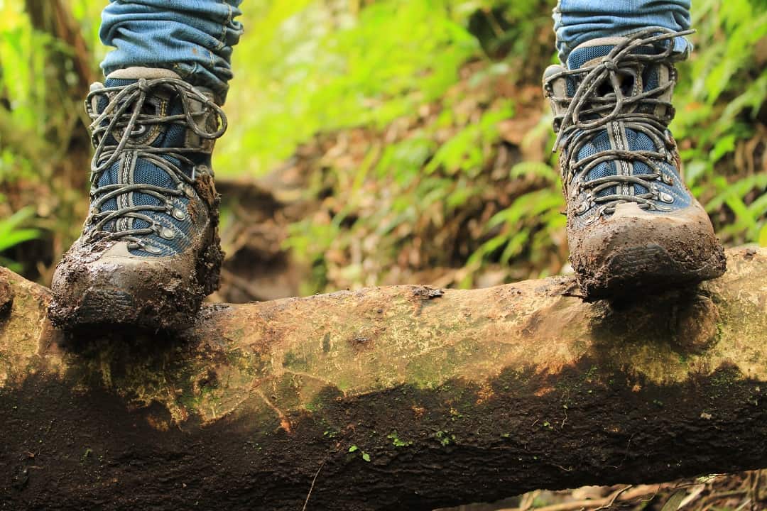Close-up de botas de trekking em uma trilha de terra, com folhas e natureza ao redor