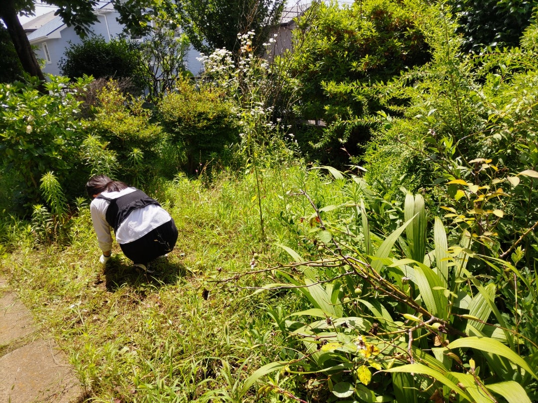 雑草に困る家族のイメージ