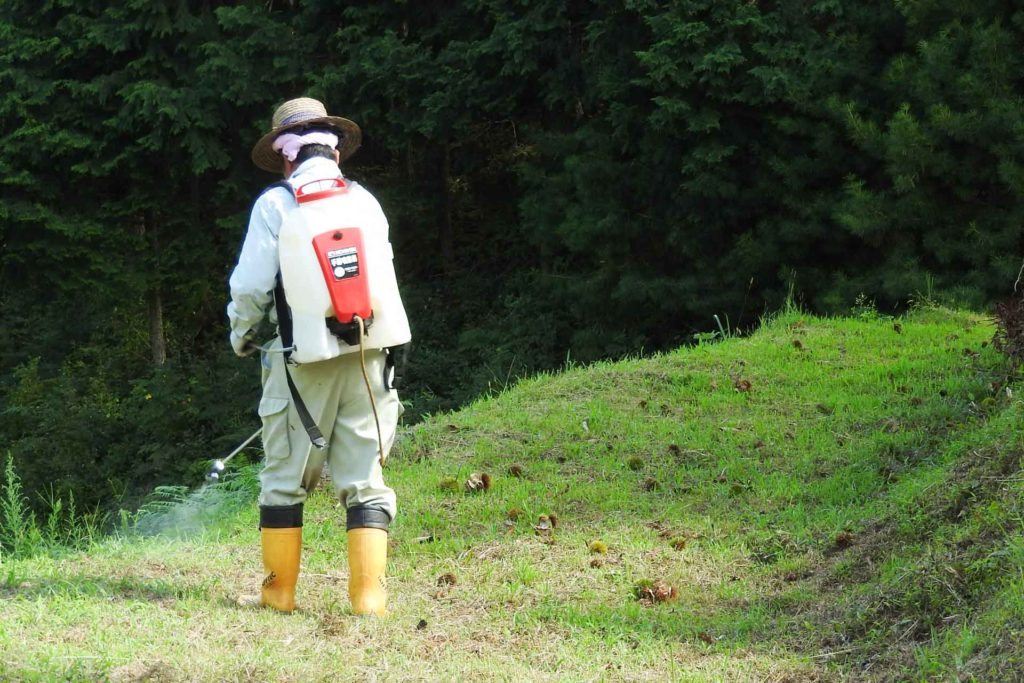 プロの除草剤散布作業