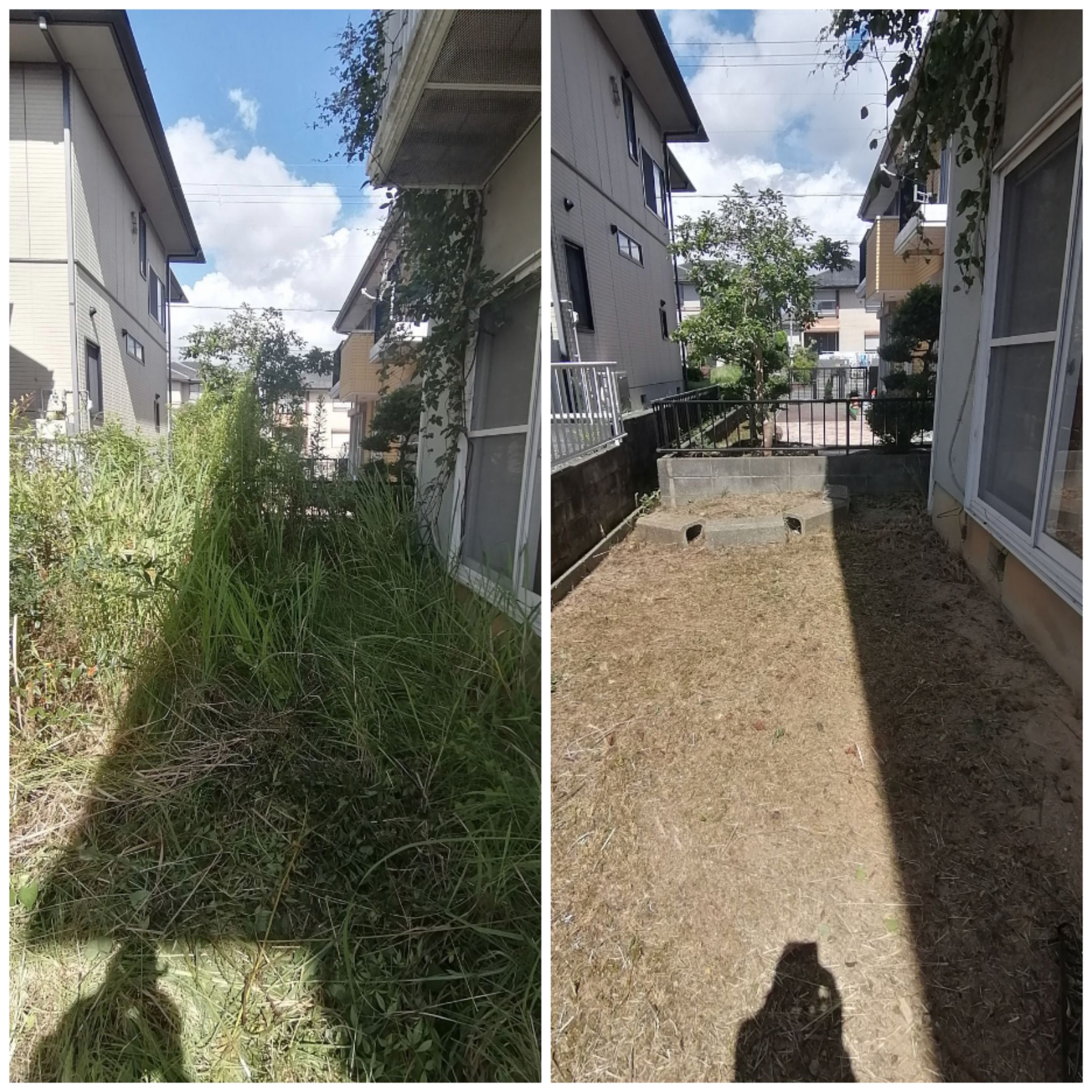 Before/After比較写真