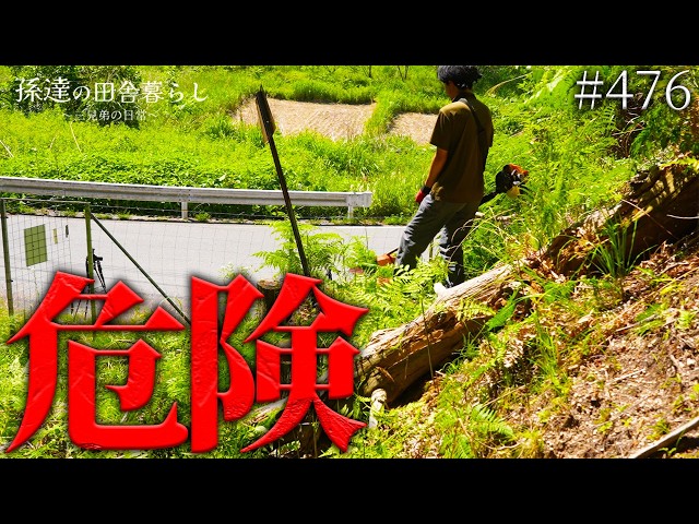 急な斜面に雑草が生い茂り、見るからに危険な状態の法面