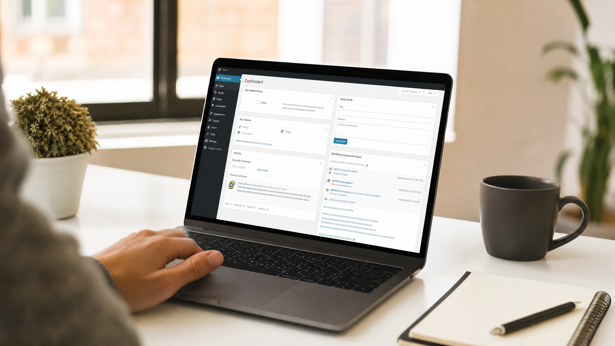 Website owner managing hosting and WordPress dashboard on a laptop