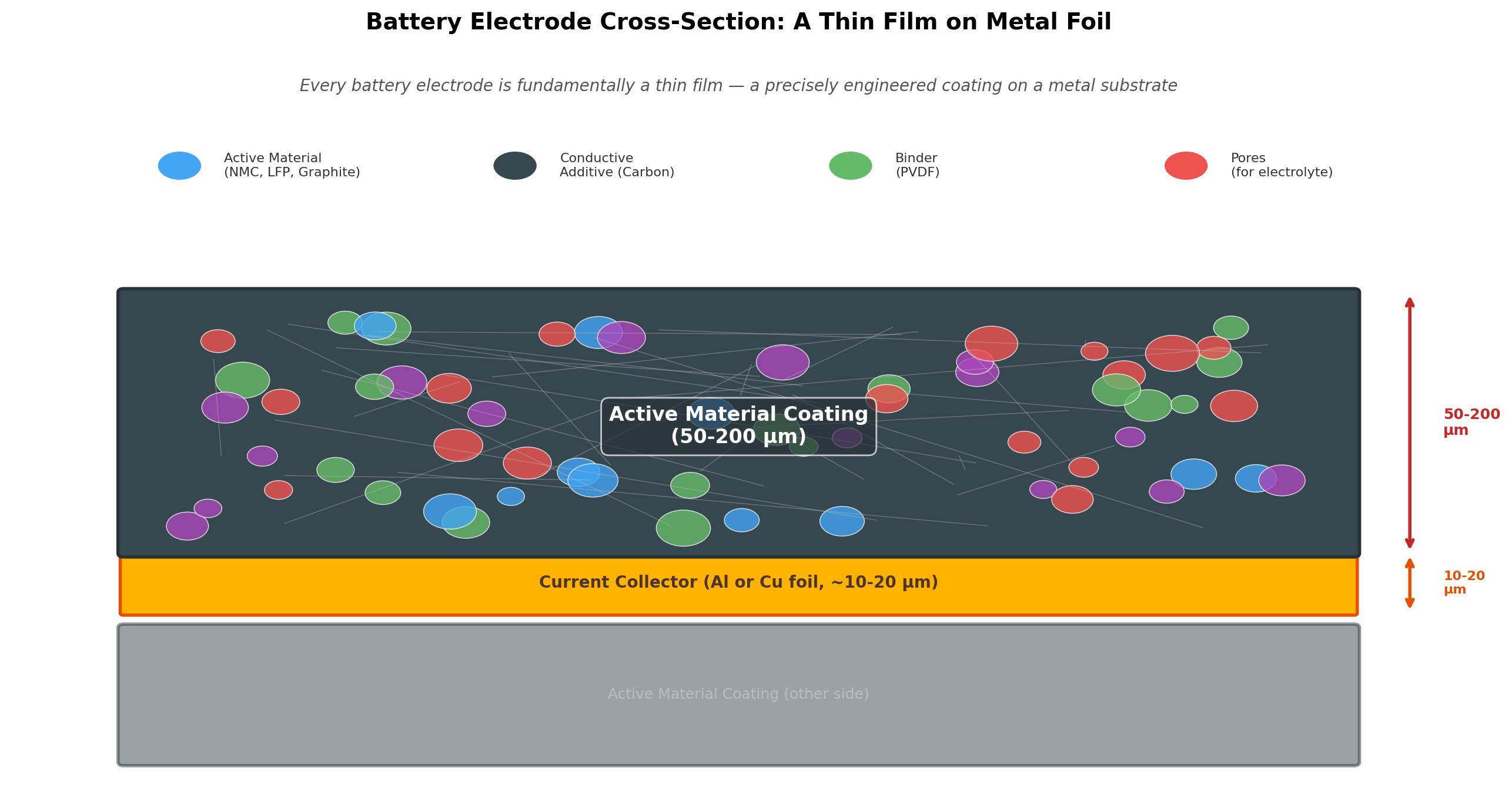 Battery Electrode Cross-Section