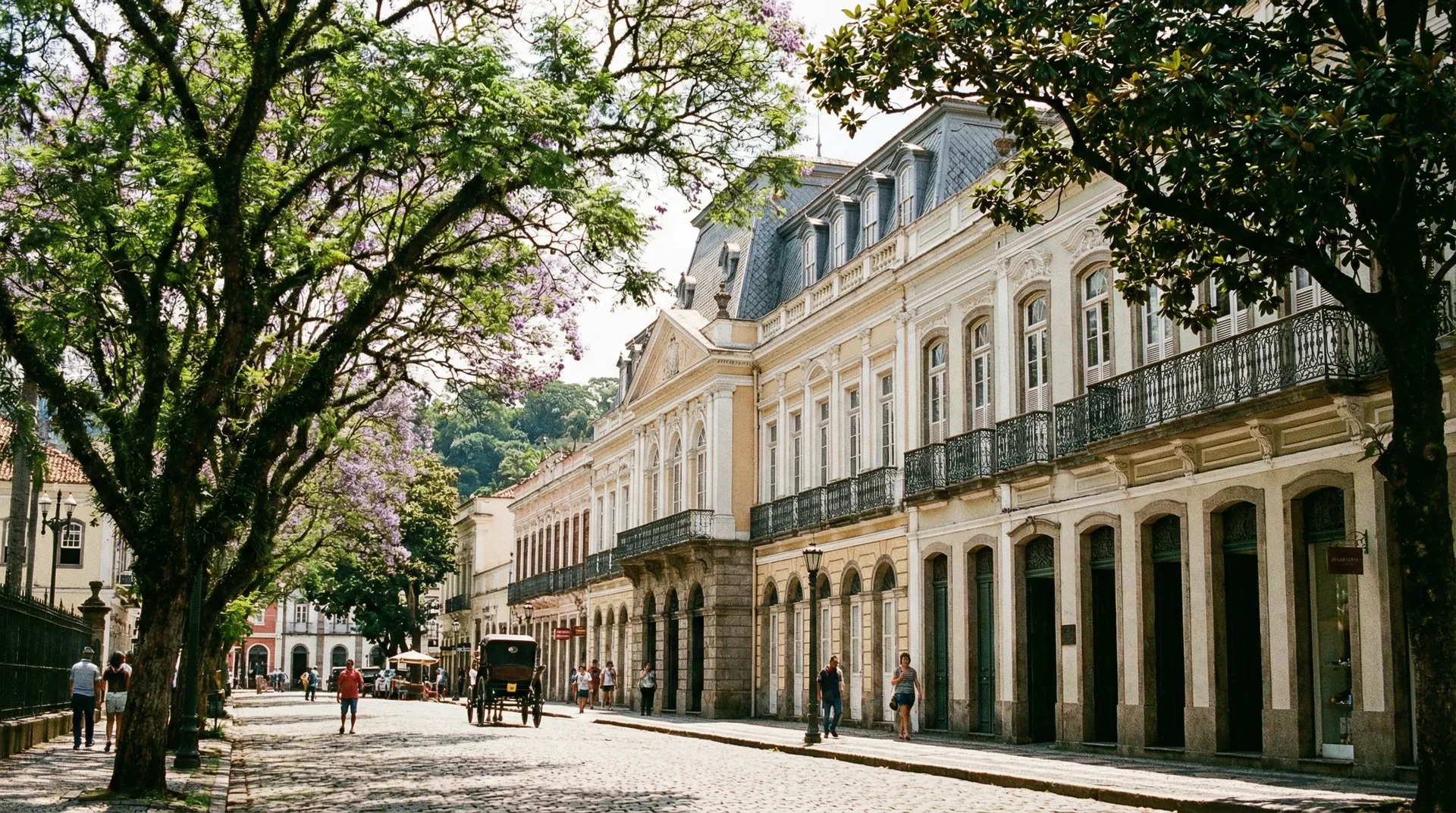 Serviços em Petrópolis Centro