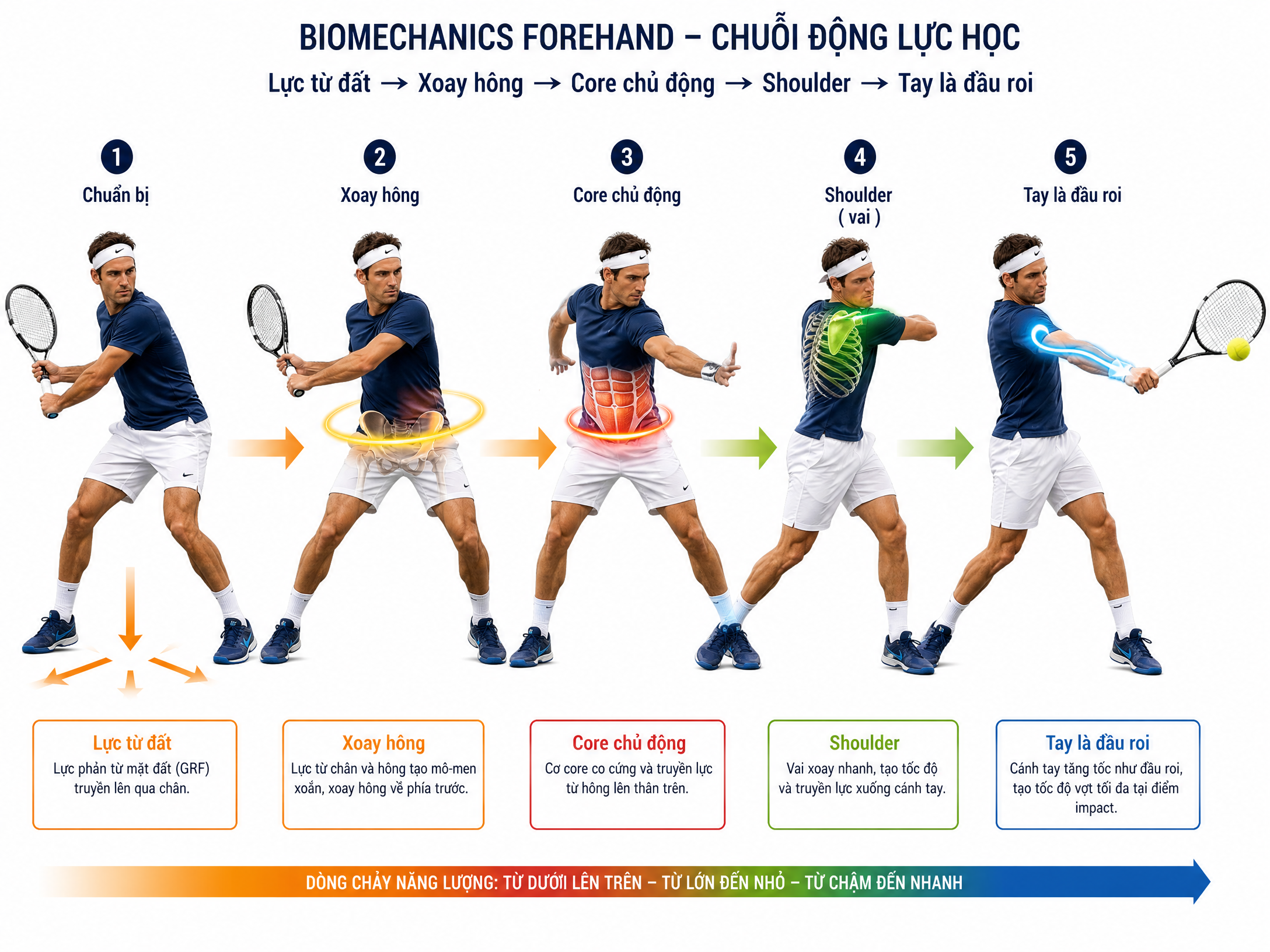 Chuỗi động lực học của cú Forehand