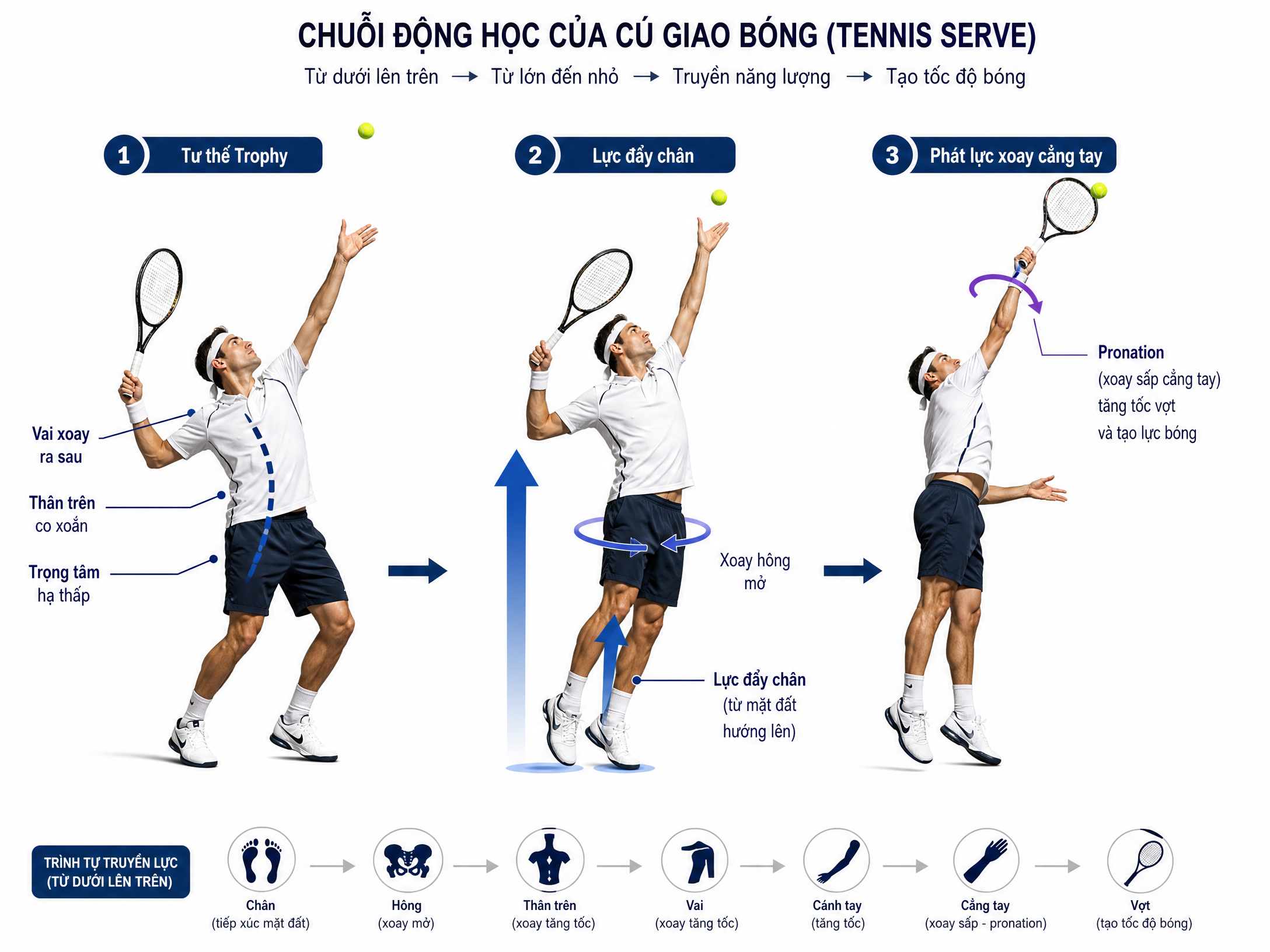 Chuỗi động học của cú giao bóng Serve