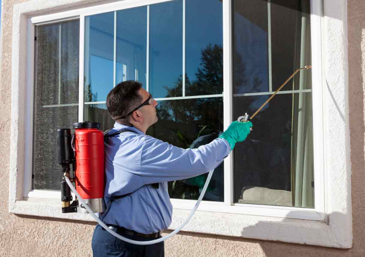 A busy pest control technician treating a residential property A busy pest control technician treating a residential property