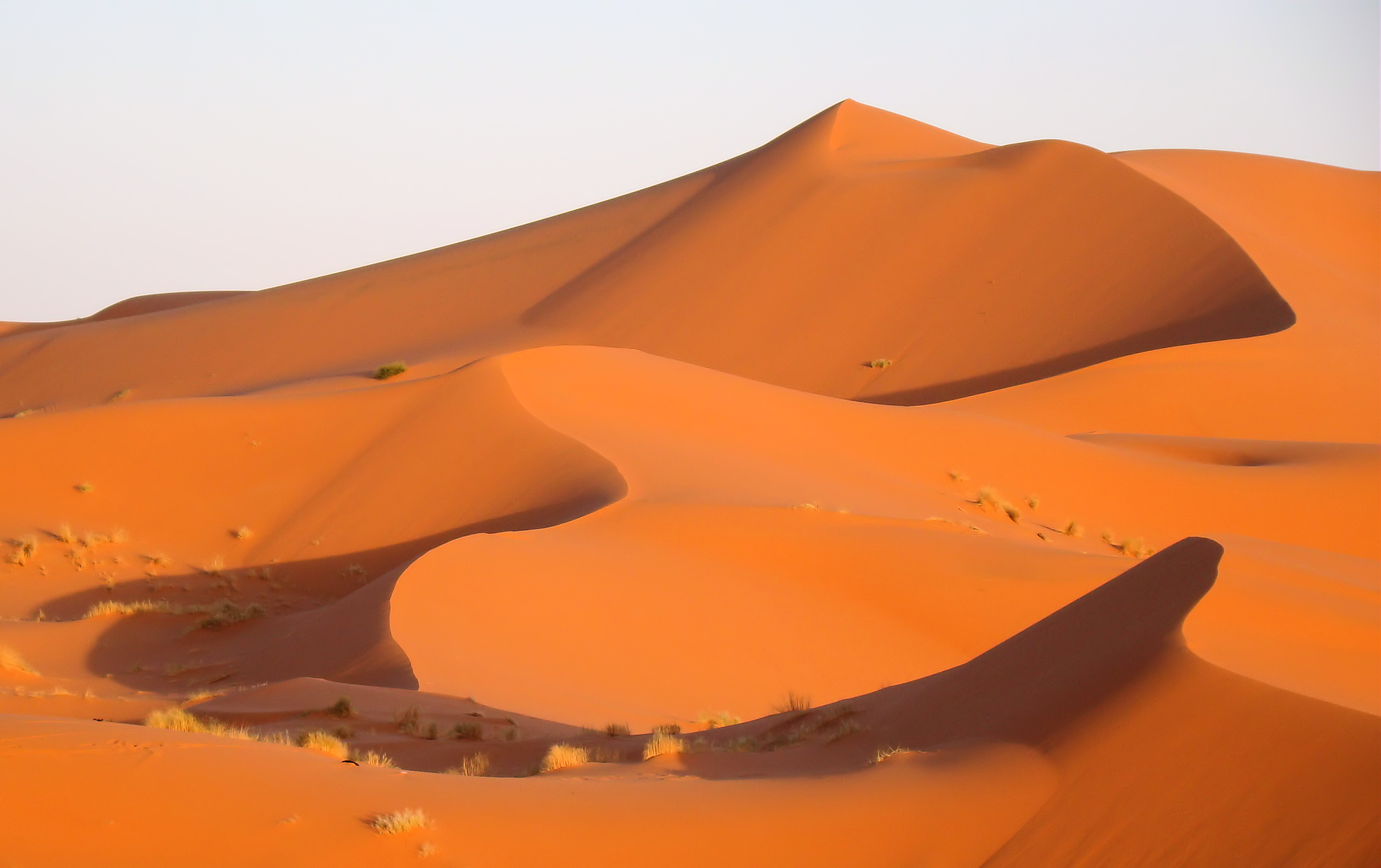 Morocco best places to visit: A Journey Through Enchanting Landscapes and Rich Culture 10 Sahara Desert Dunes