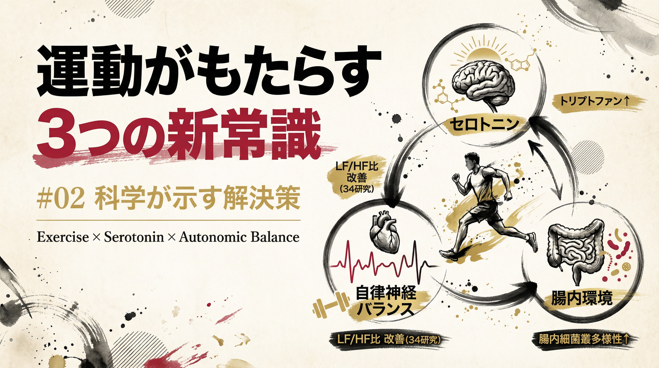 第2章画像:運動によるセロトニン分泌と自律神経改善のメカニズム図