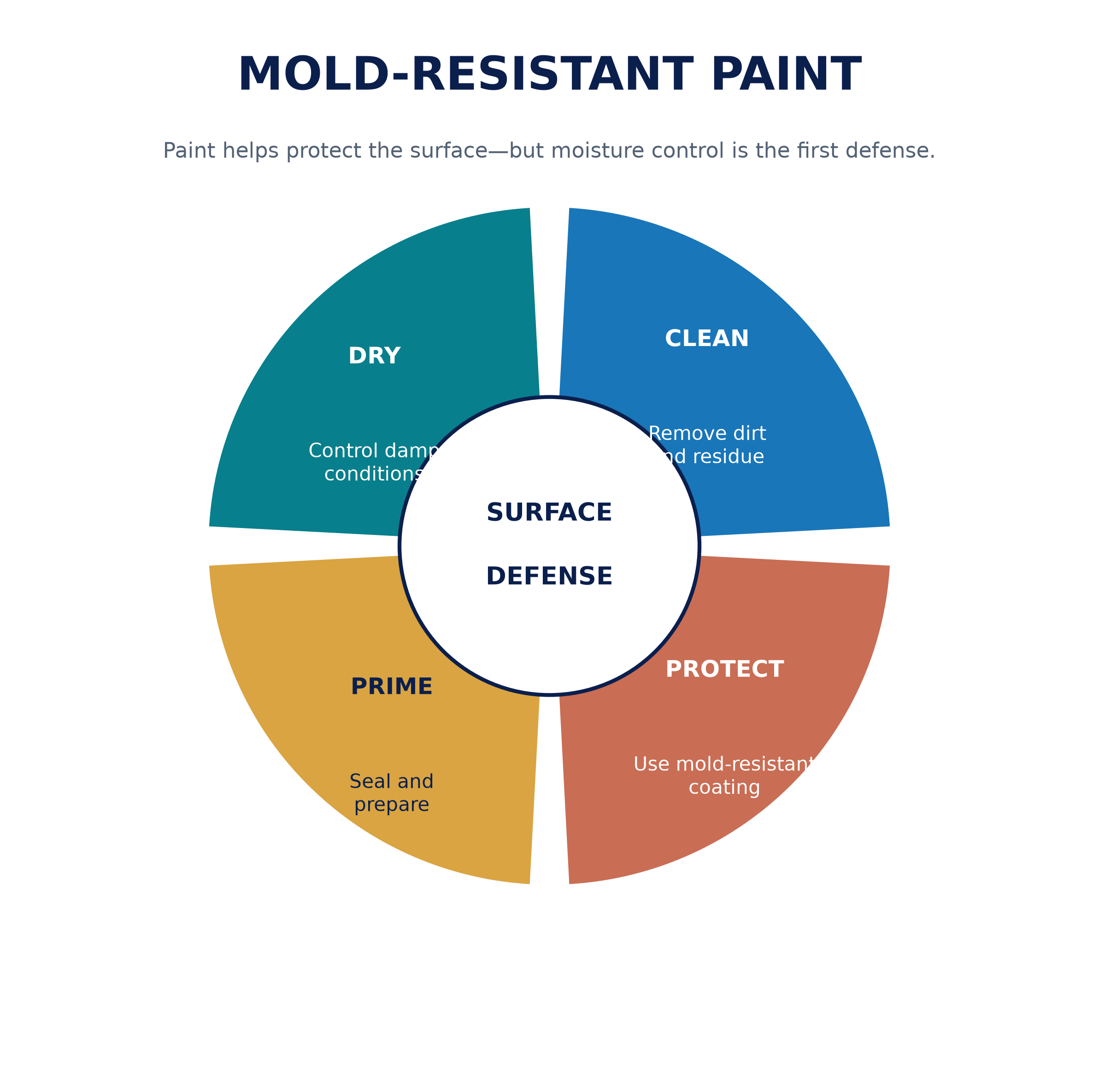Mold-Resistant Paint for Bathrooms: A Newton, MA Homeowner's Guide 1 mold_defense_wheel.png