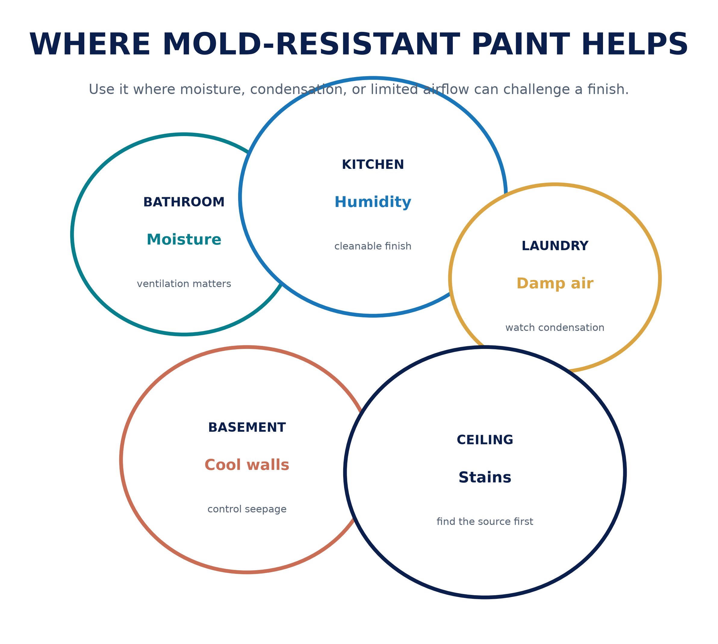 Mold-Resistant Paint for Bathrooms: A Newton, MA Homeowner's Guide 3 mold_room_bubbles.png