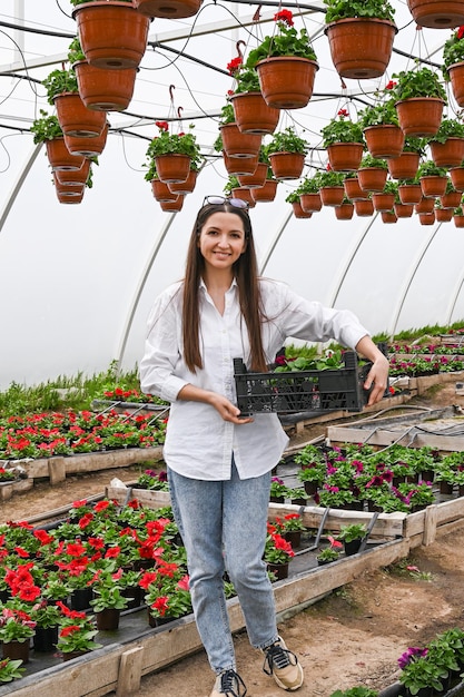 Venda de Plantas e Jardinagem