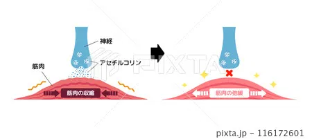 緊張緩和のイラスト