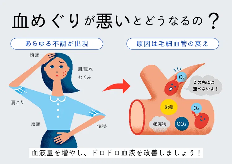 血流改善のメカニズム