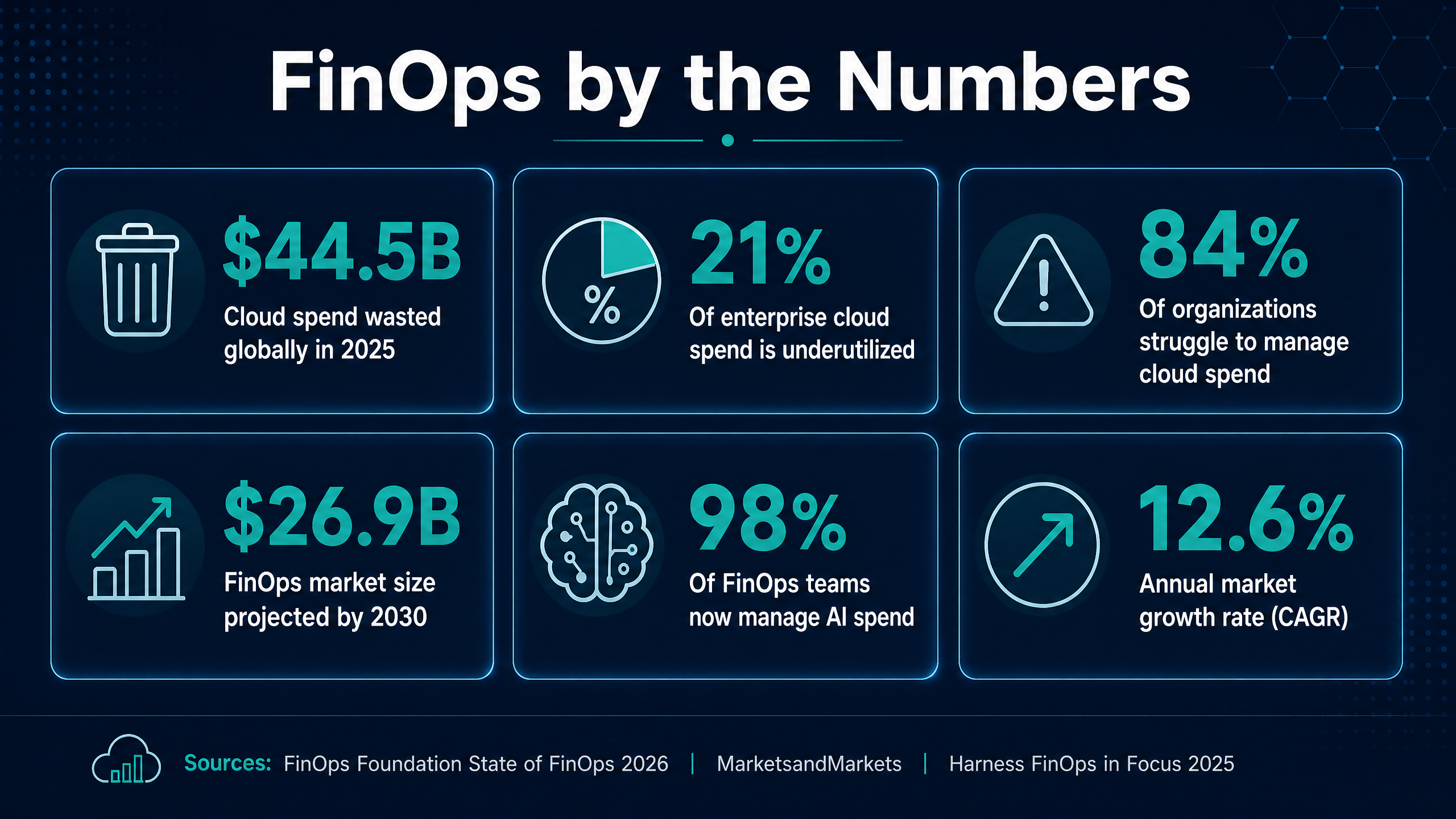 FinOps Market Statistics