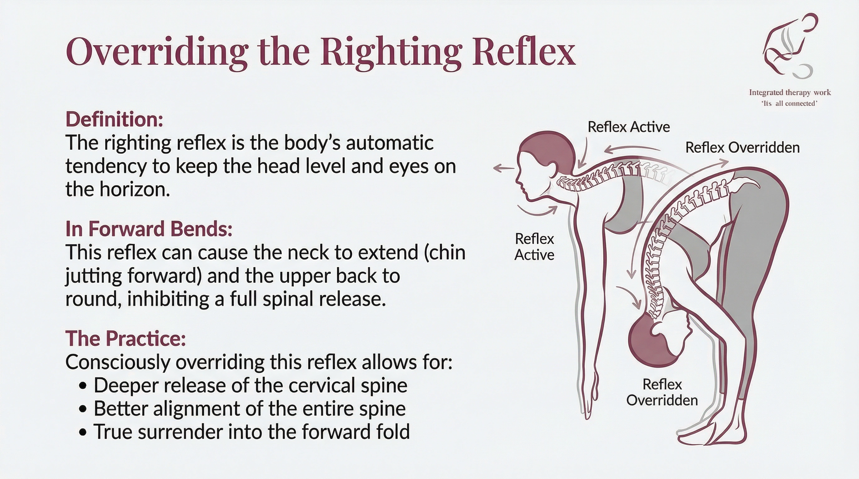 Illustration showing the difference between a forward bend with an active righting reflex (tense neck) and an overridden reflex (released neck and aligned spine).