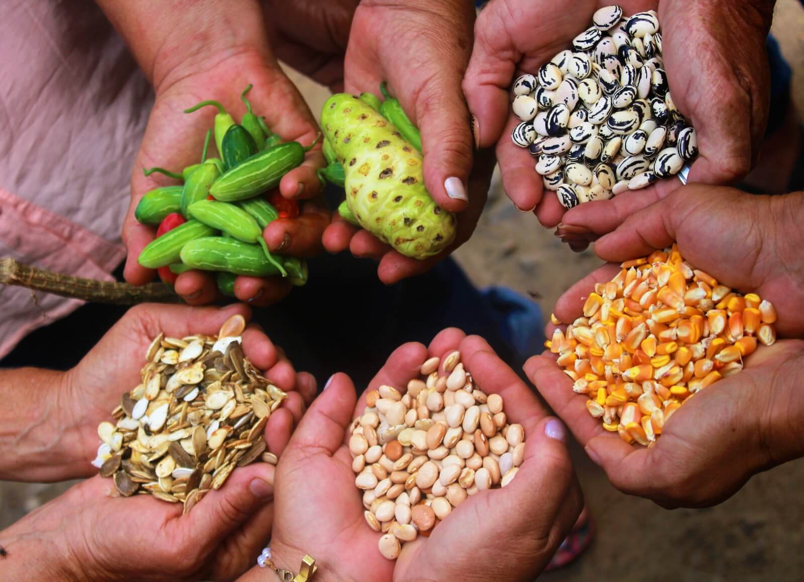 Fundo Casa Socioambiental