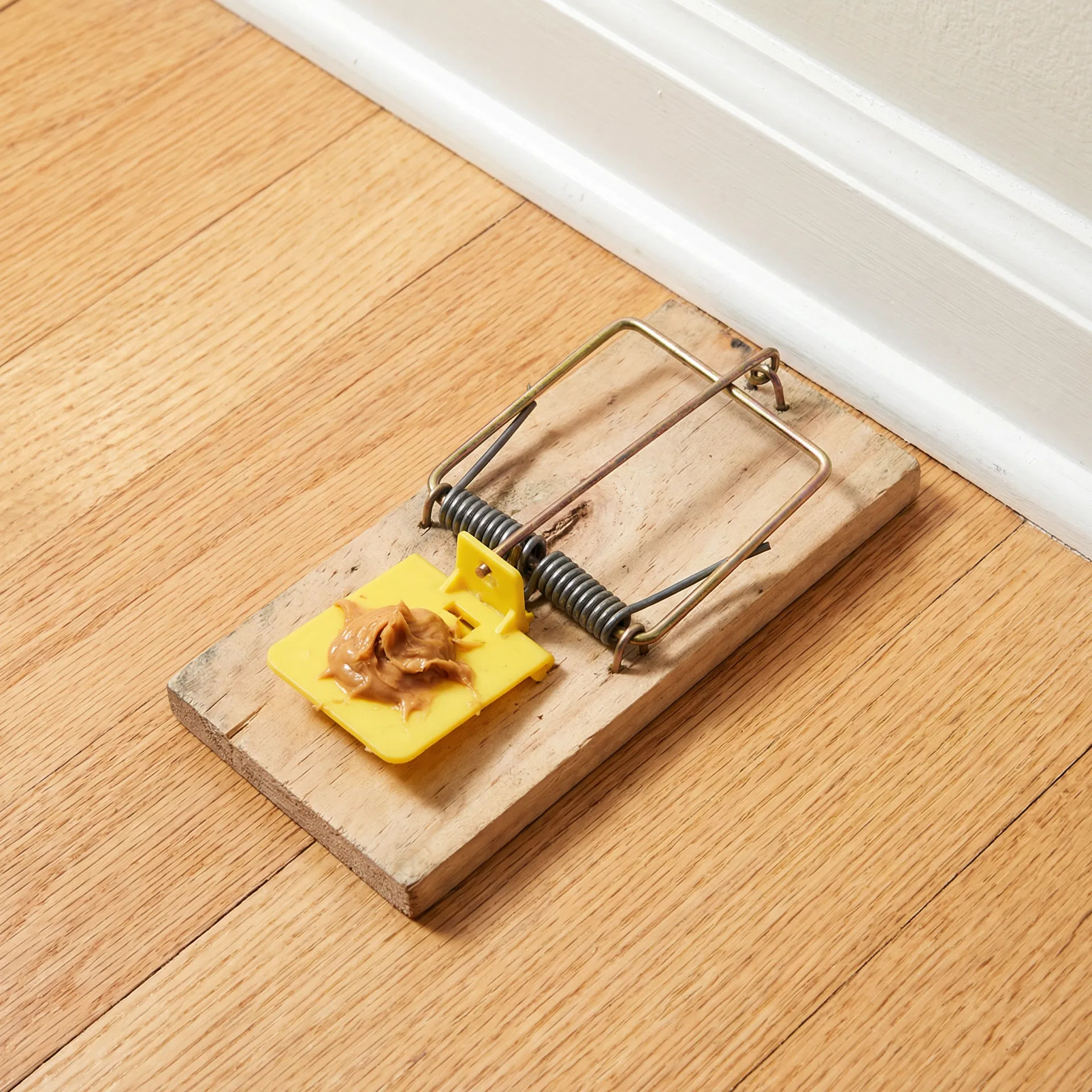 Properly set snap trap