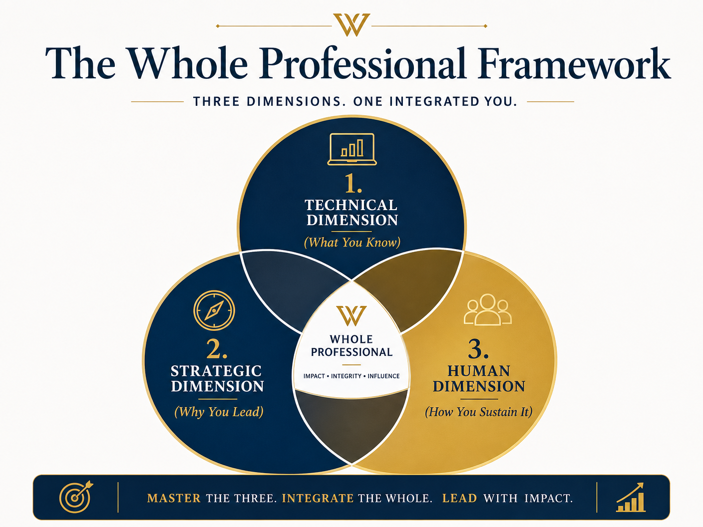 The Whole Professional Framework Infographic