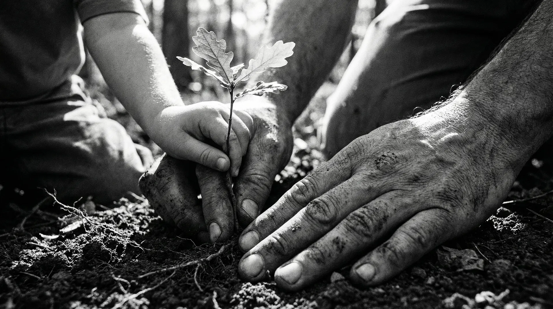 Legacy & Long-Term Thinking