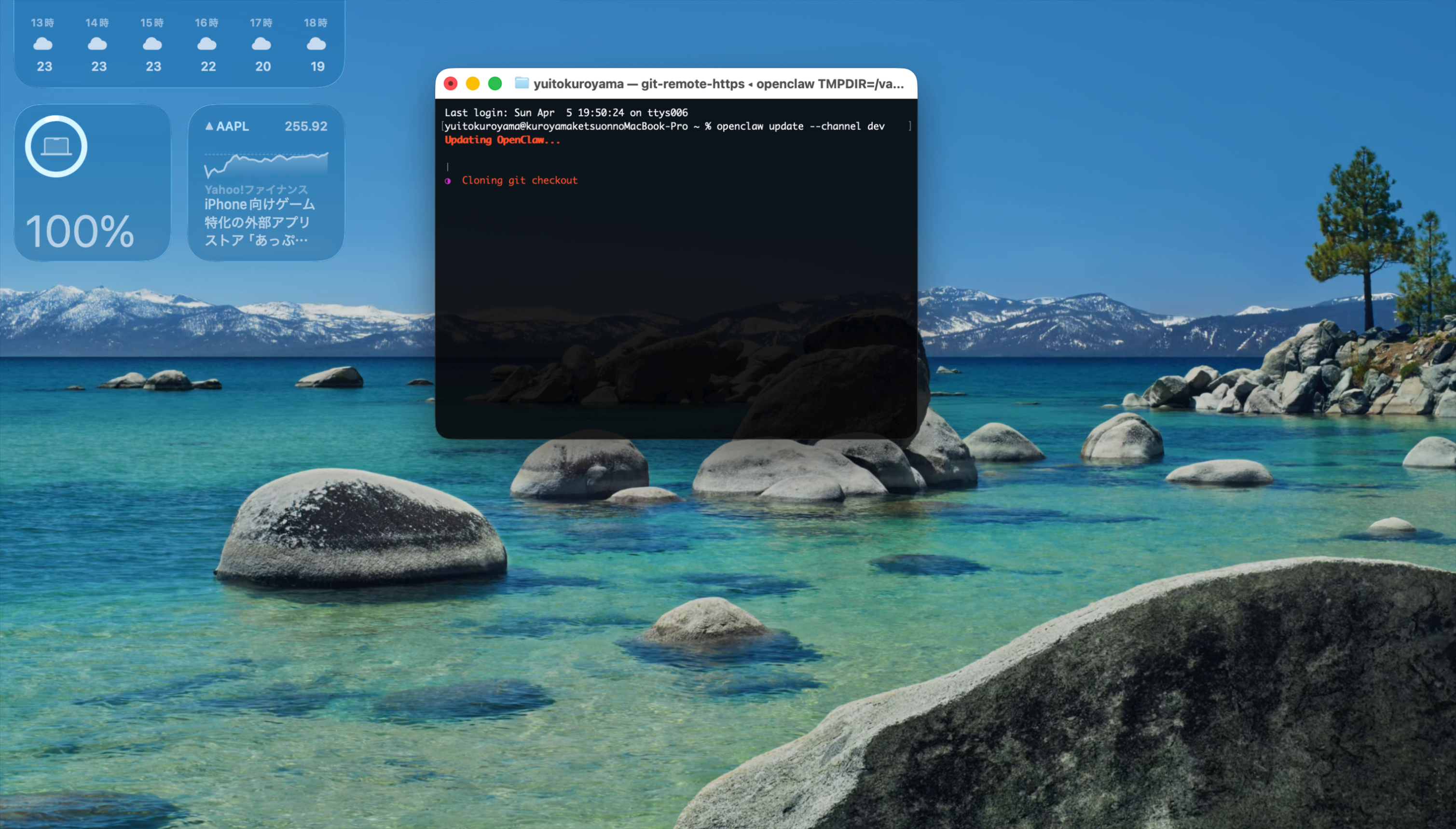 ターミナルでアップデートコマンドを実行した直後の画面。「Updating OpenClaw…」「Cloning git checkout」と表示されている
