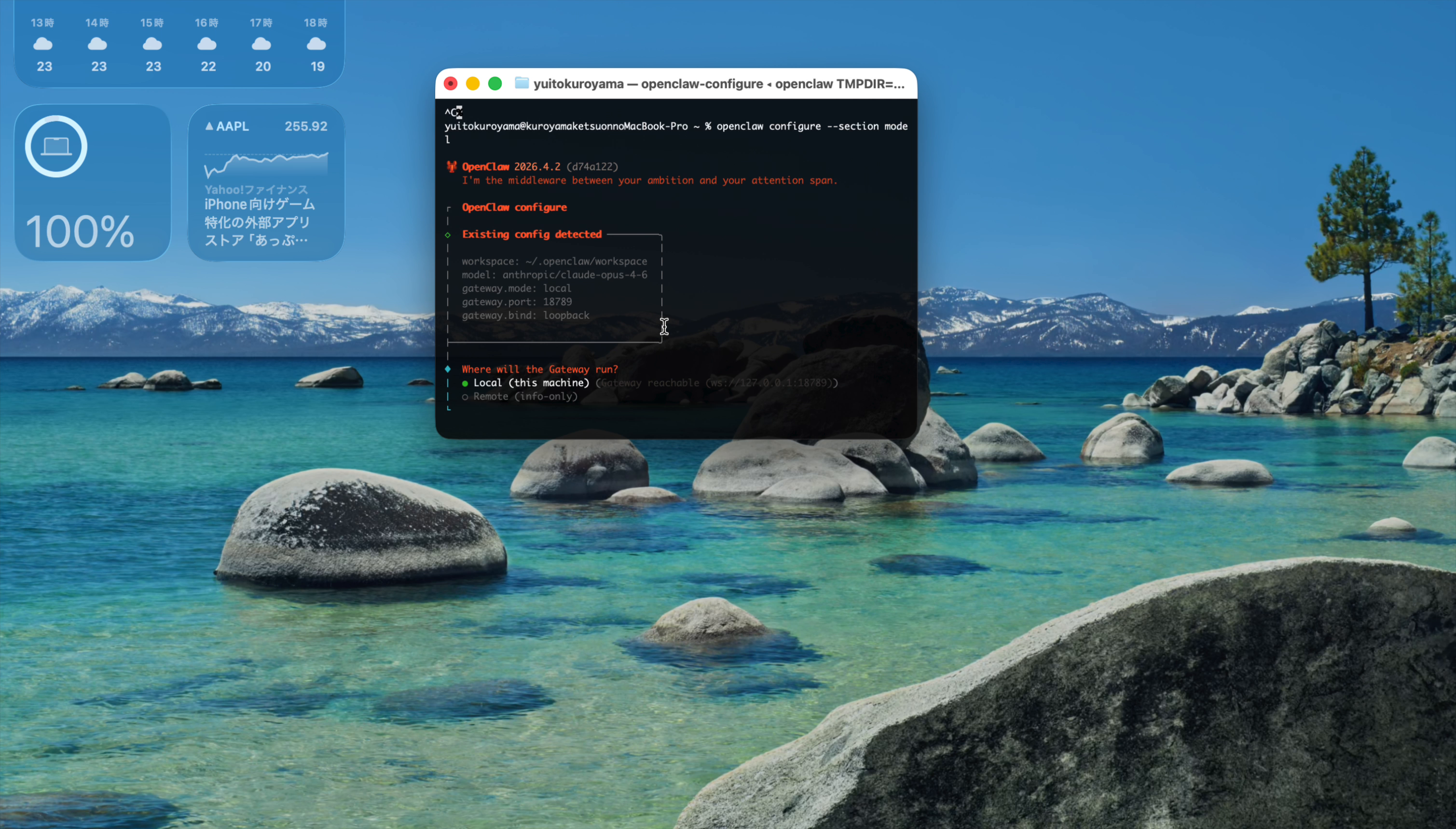 設定画面が開き、既存の設定(model: anthropic/claude-opus-4-6 など)が表示されている