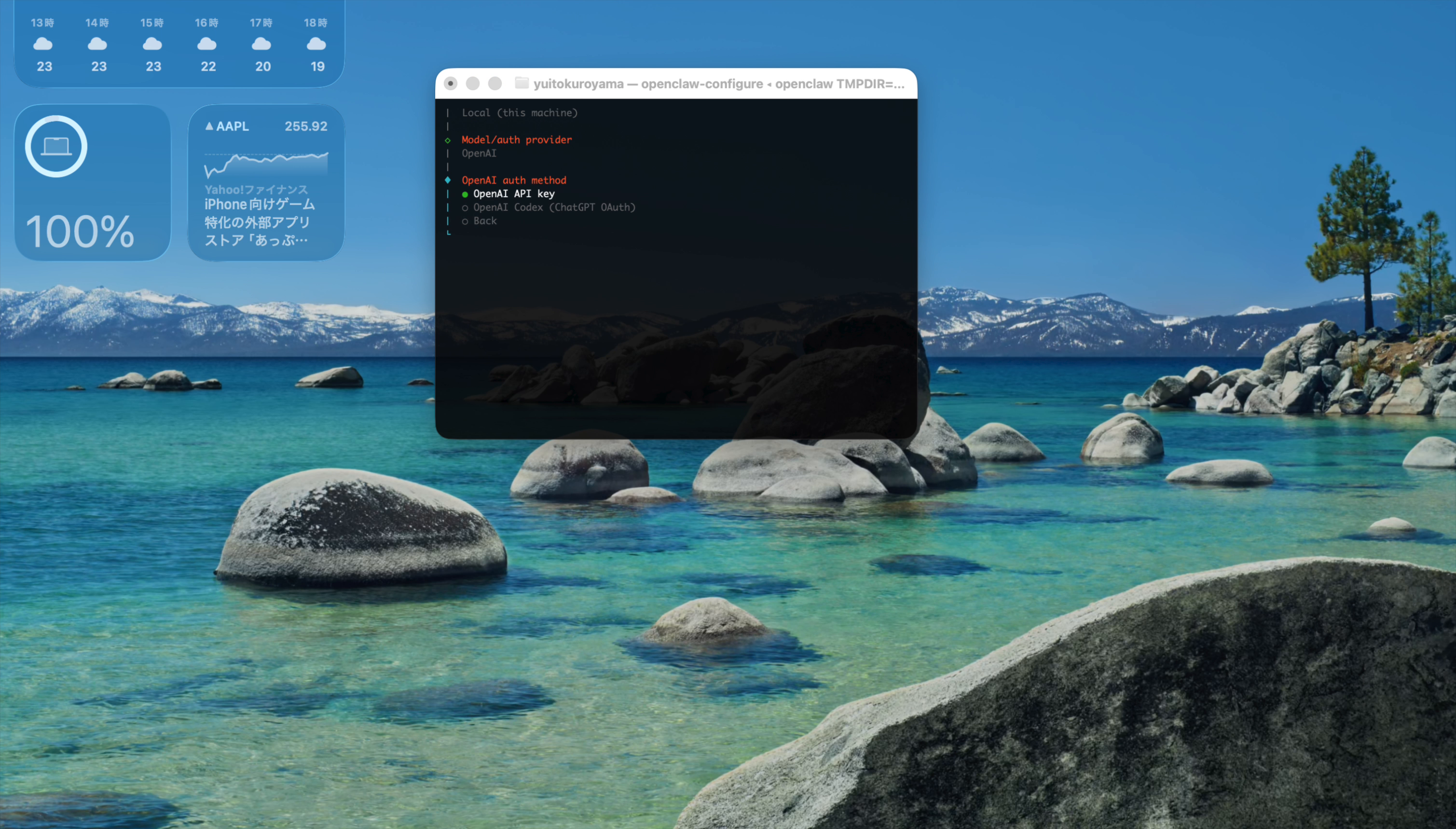 OpenAI auth methodの選択画面。「OpenAI API key」と「OpenAI Codex (ChatGPT OAuth)」の2つの選択肢が表示されている