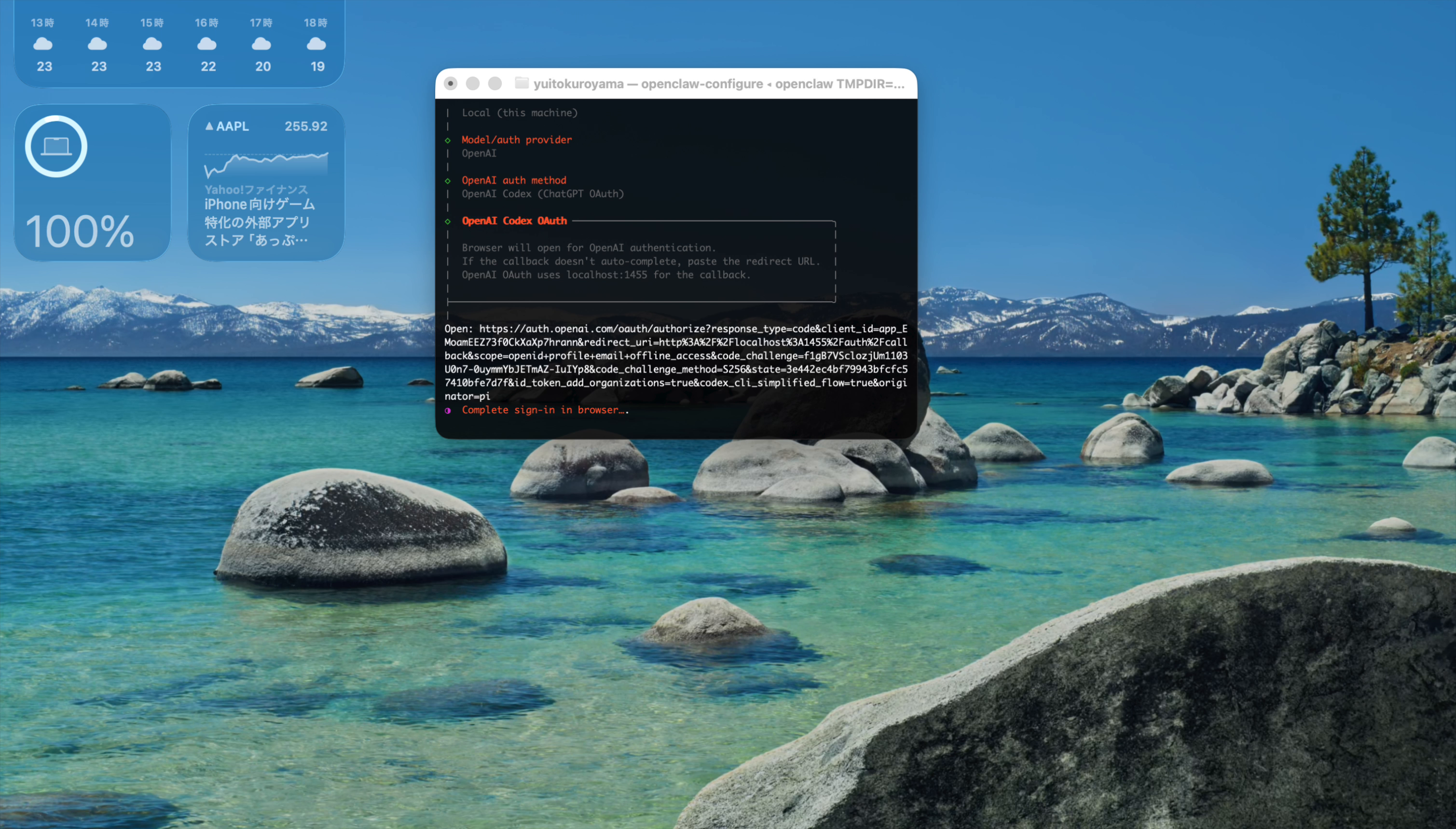 ブラウザ認証の案内メッセージ。認証URLが表示され、「Complete sign-in in browser…」と待機中