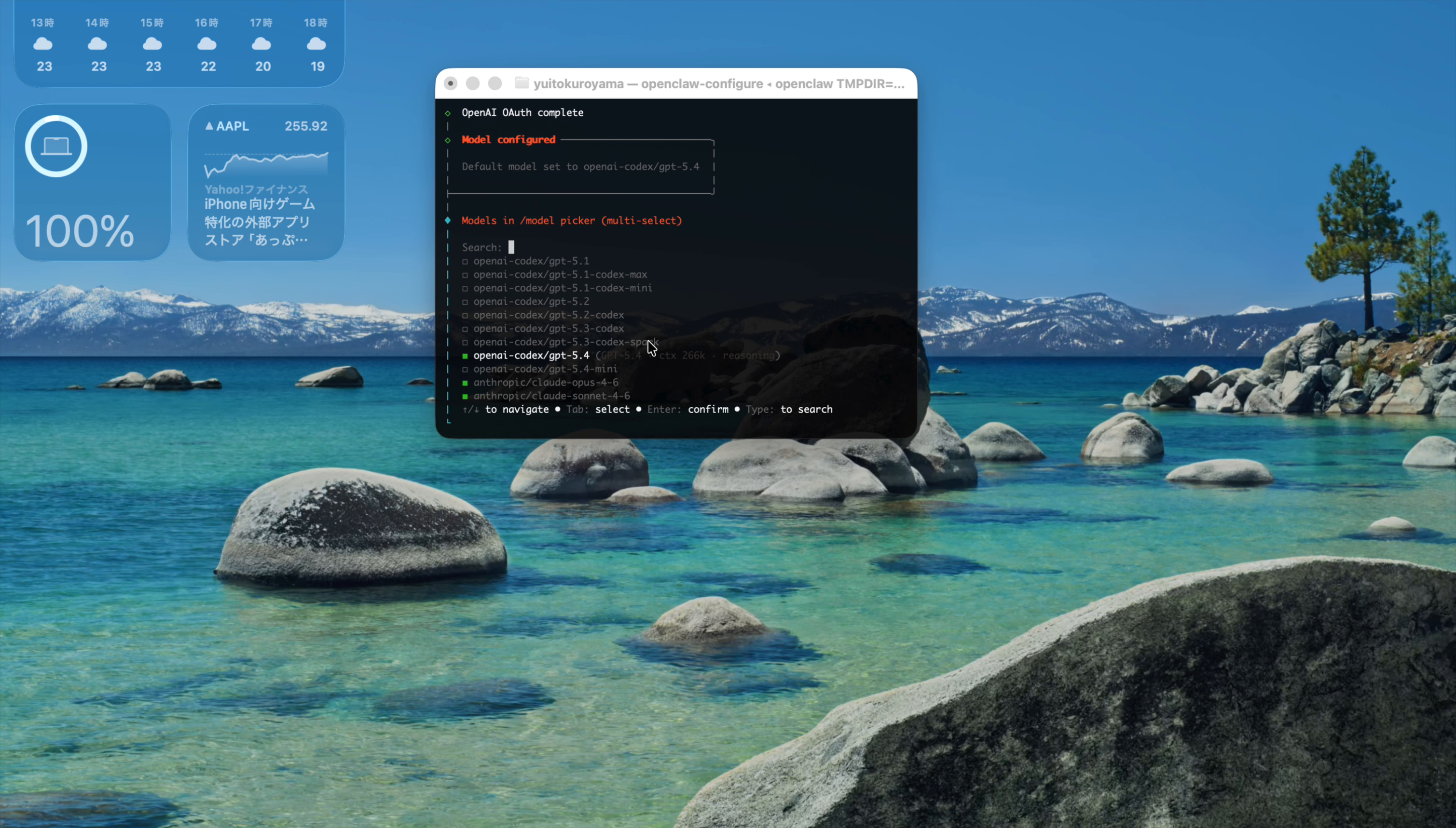 OAuth認証完了後のモデル選択画面。openai-codex/gpt-5.4 が緑色でハイライトされている