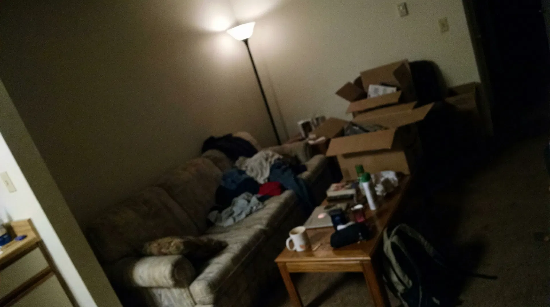 Exemplo de foto ruim - escura e desfocada