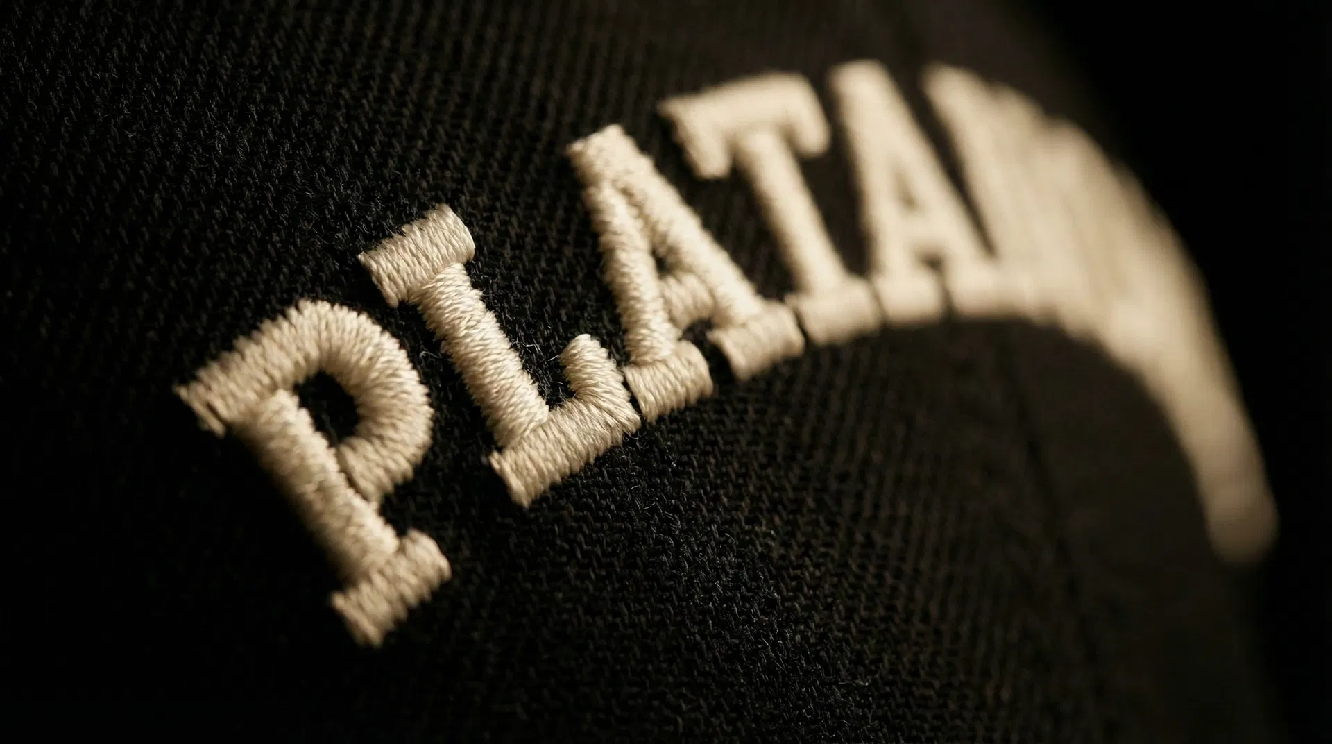 Detalle del bordado PLATANOWOOD - alta densidad sobre tela negra