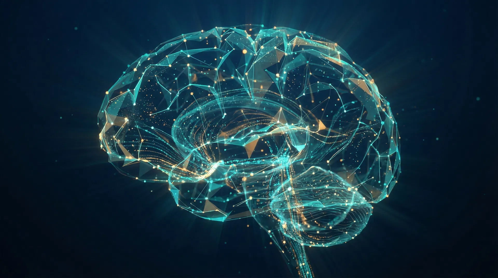 Data Science & AI/ML