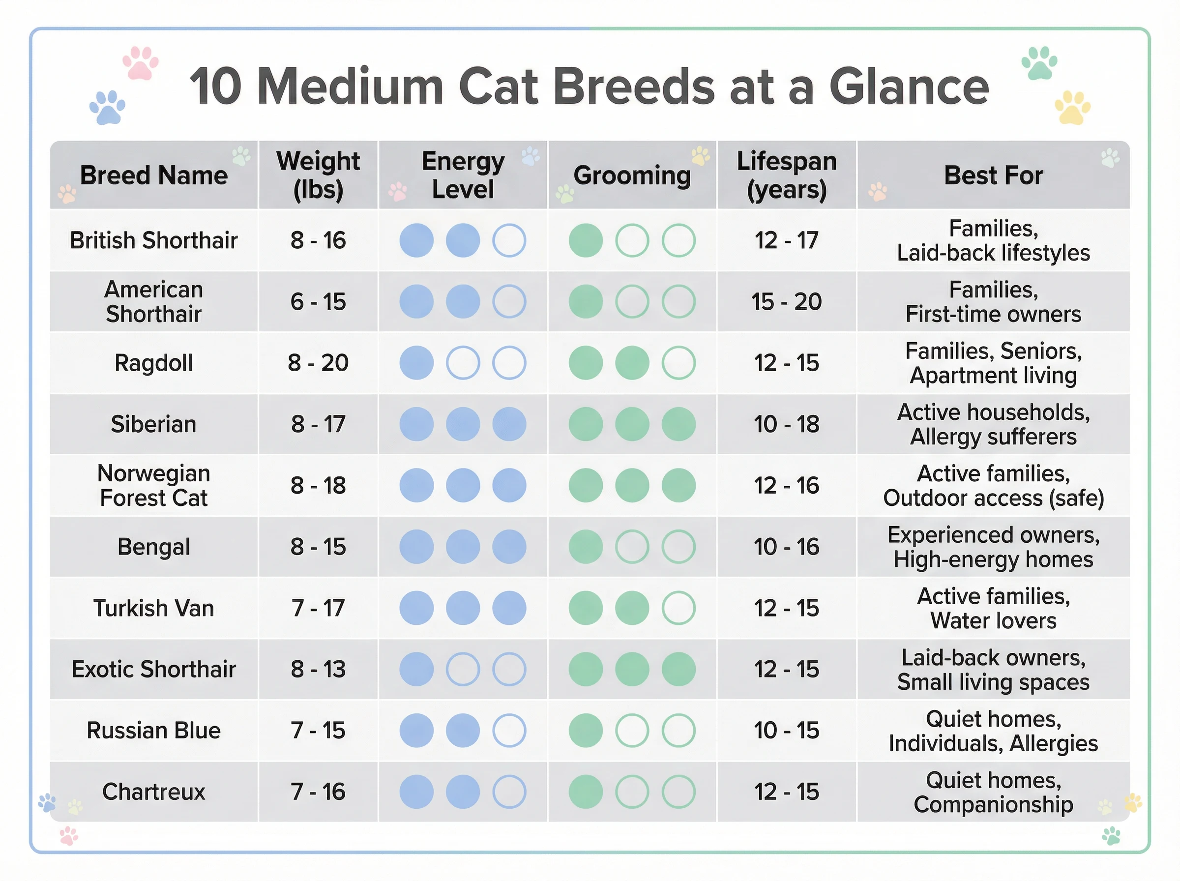 Medium Cat Breeds Comparison Chart