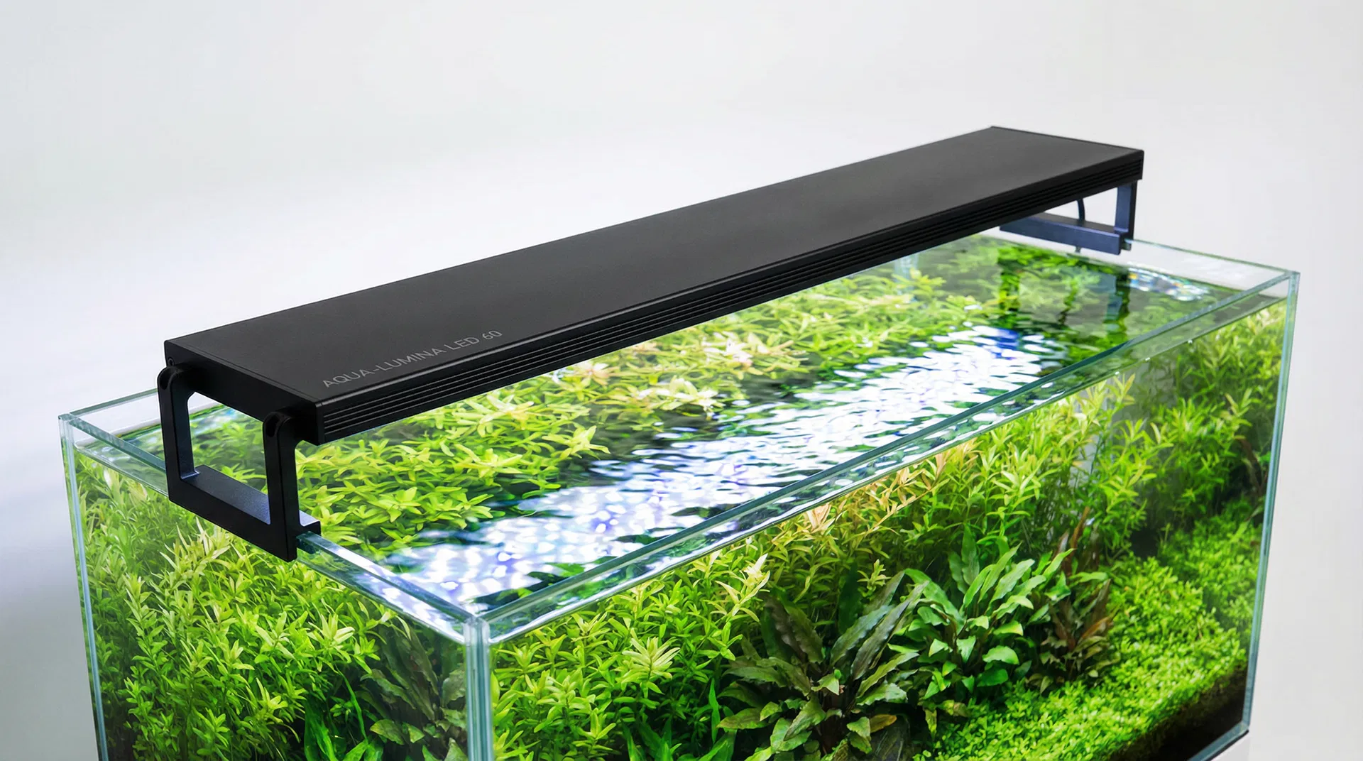 Moderne LED-Aquarienlampe über einem dicht bepflanzten Aquarium