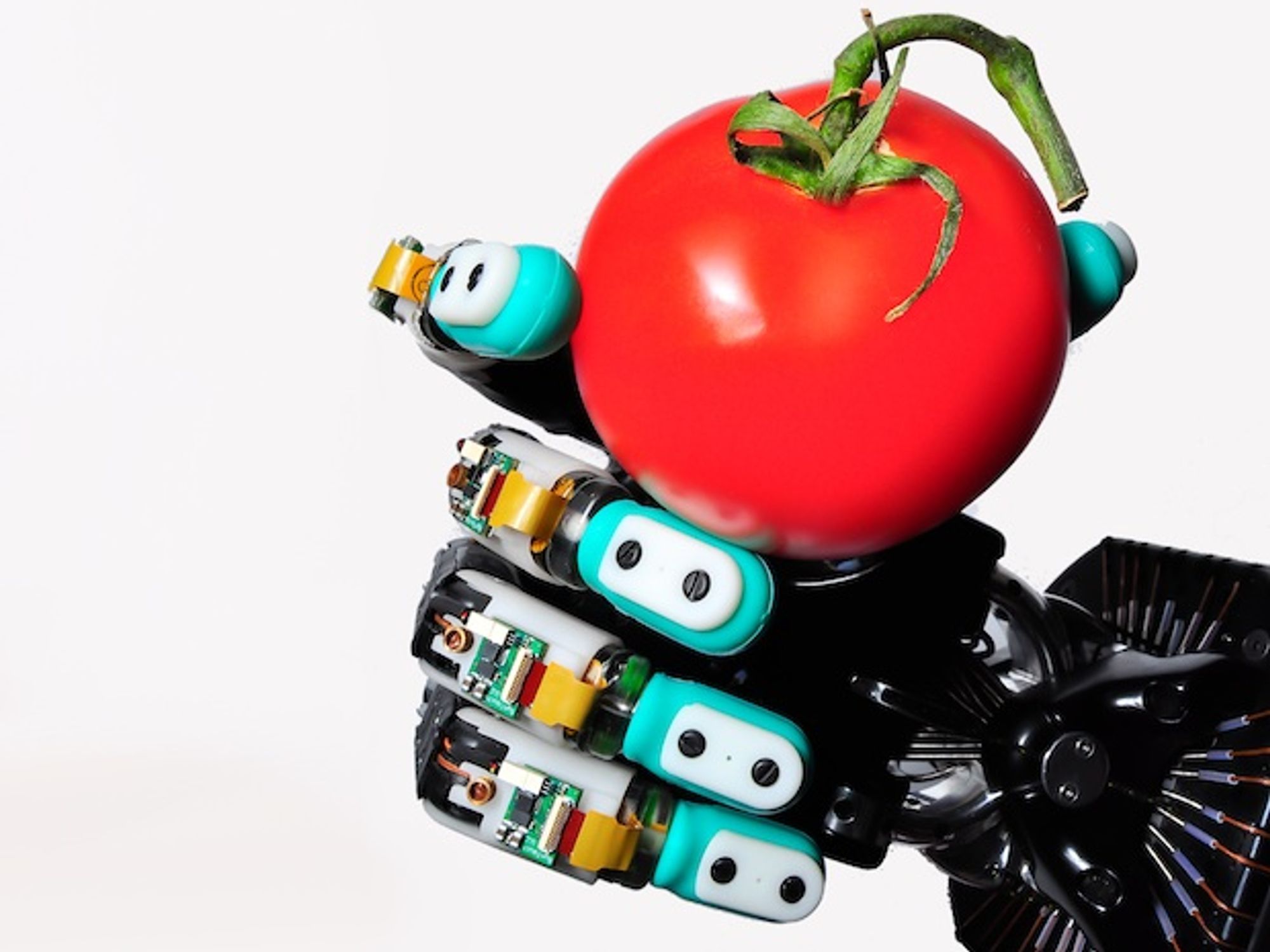 Shadow Dexterous Hand