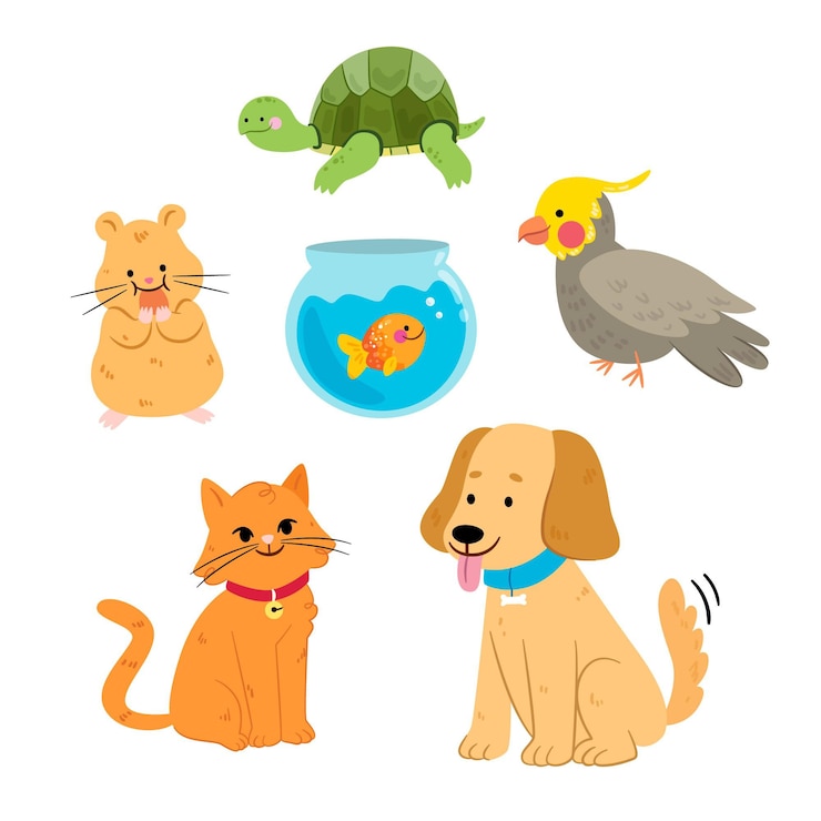 Diversos tipos de pets