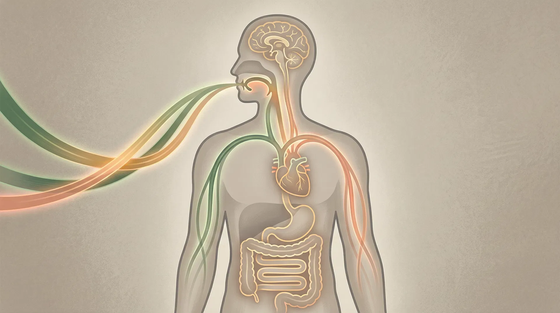 Oral-systemic disease connections