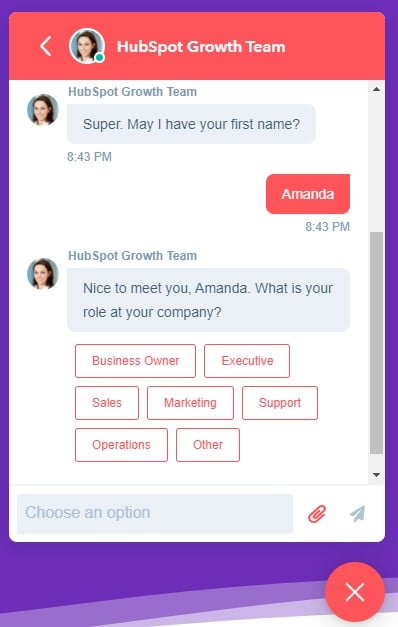 HubSpot Chatbot Interface