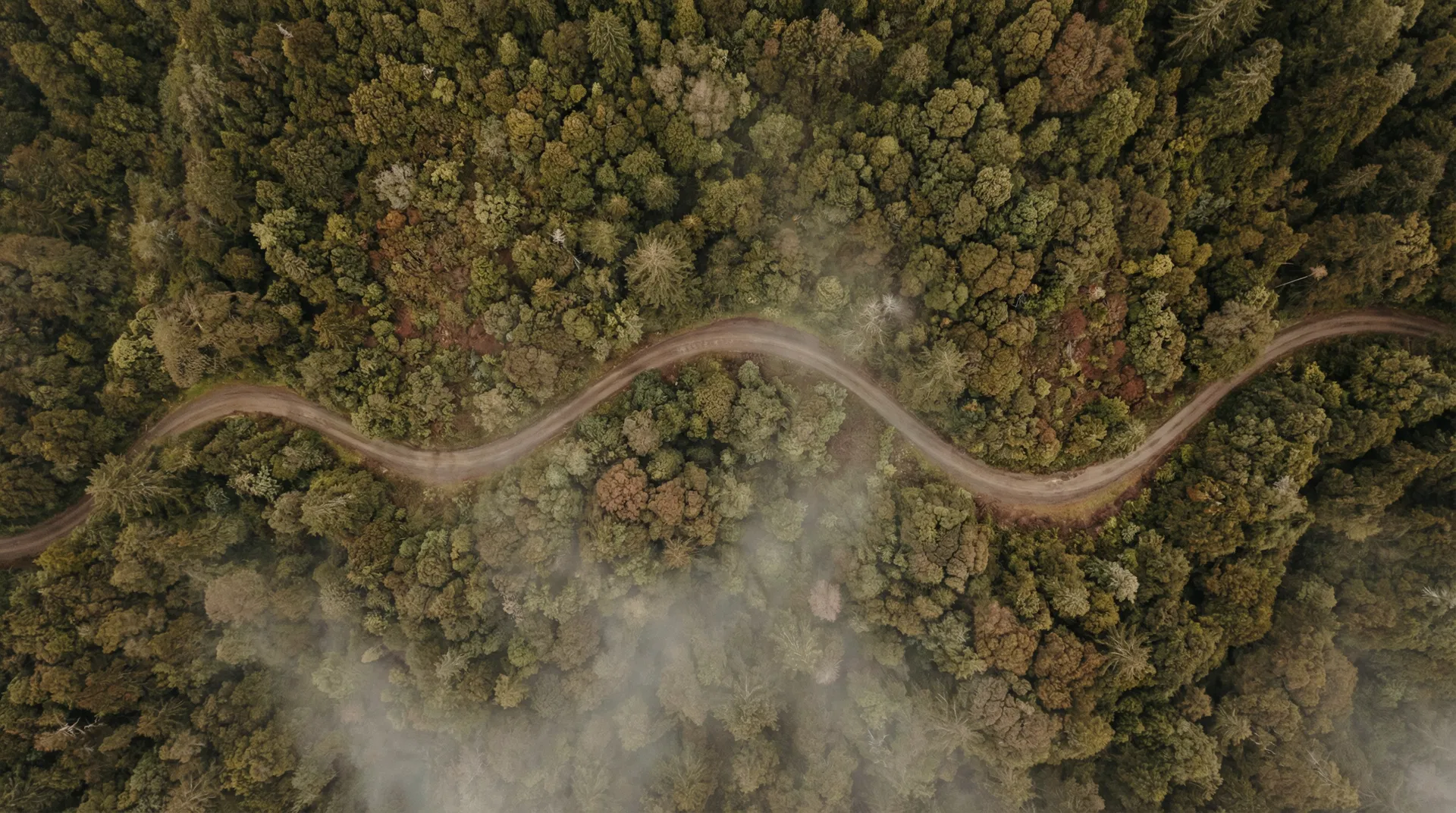 About YSSP — raising standards in adolescent treatment transport and youth care services