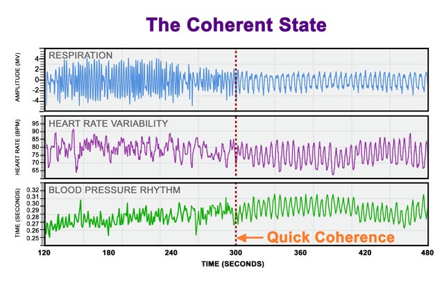 Heart Rhythm Coherence Graph