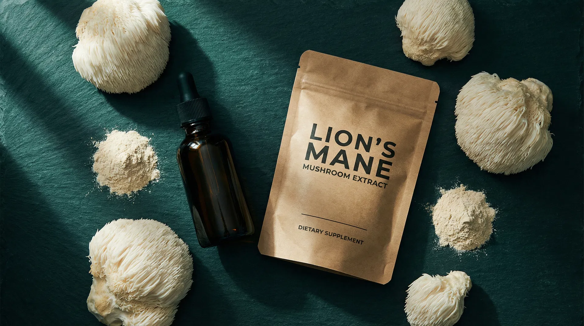 Lion's Mane mushroom extract products — powder and liquid tincture on dark surface