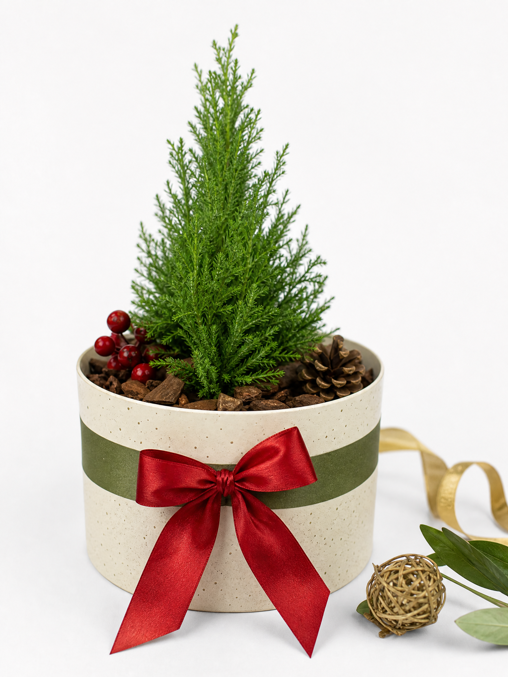 Pote de sorvete reciclado usado como cachepô de Natal