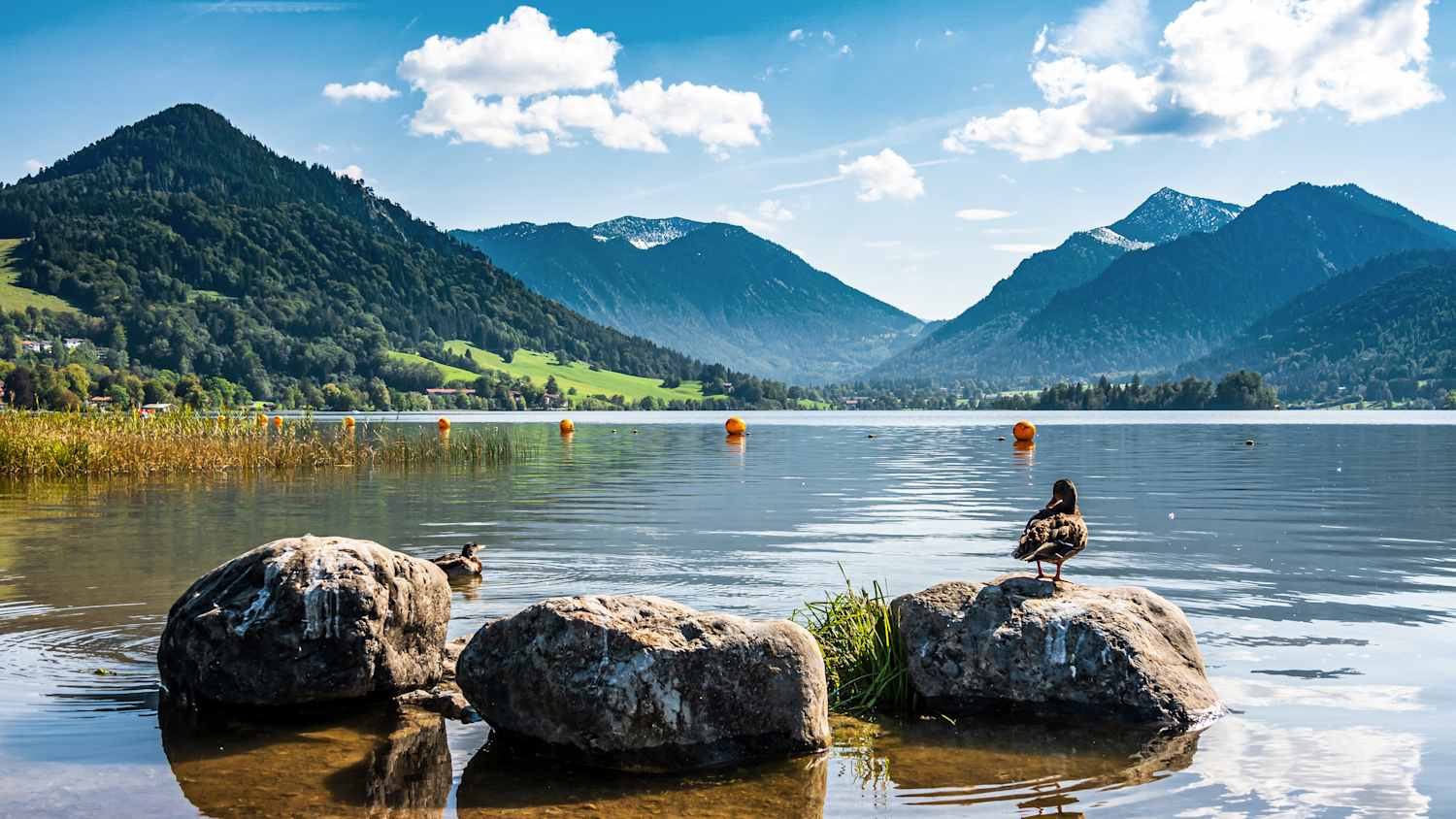 Tischtennis Leonding | Natur & Bewegung: Ein umfassender Bericht über moderne Trends im Outdoor Bereich Seen in Deutschland zur Erholung