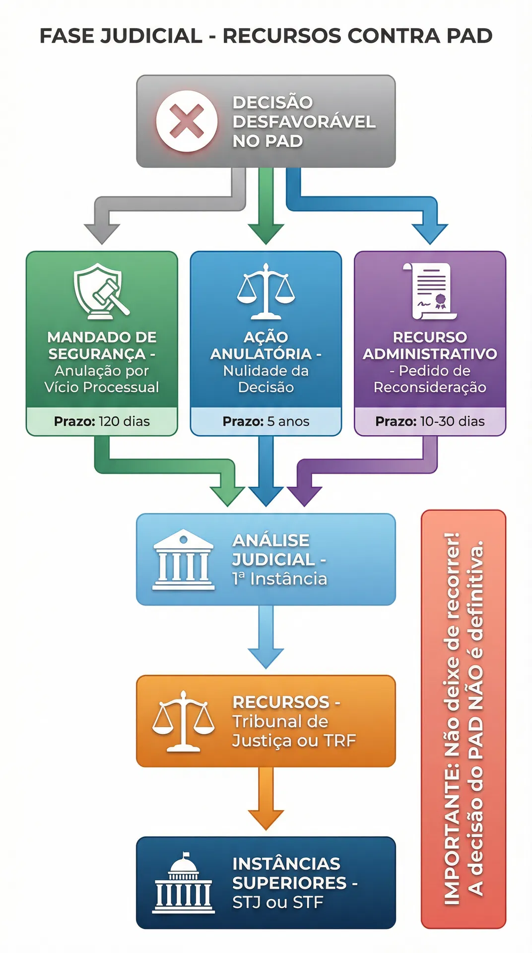 Fluxograma Fase Judicial