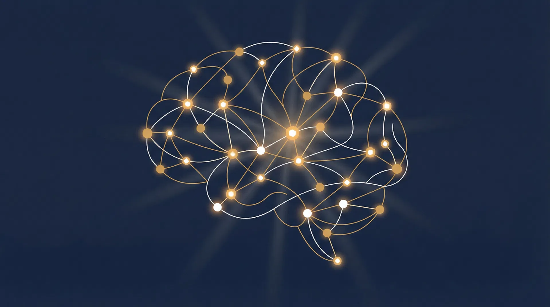 Neural Network Architecture